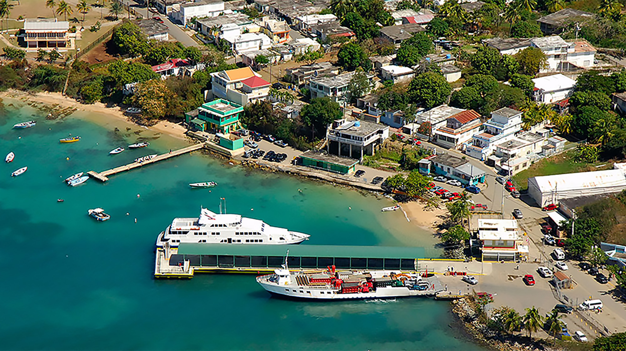 VIEQUES, AMBIENTE, SALUD Y ACCIÓN COMUNITARIA